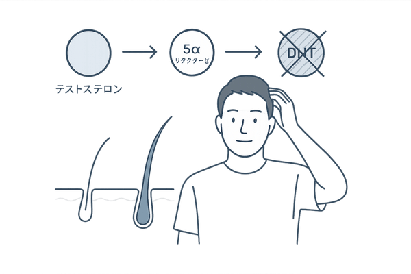 フィナステリドがDHTを抑制してAGA進行を防ぐ仕組みのイメージ図