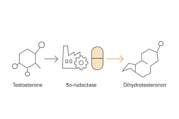フィナステリドの作用機序（5αリダクターゼとDHT抑制の流れ）