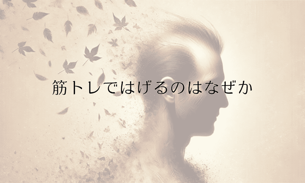 筋トレではげるのはなぜか - クレアチンの影響と対策について