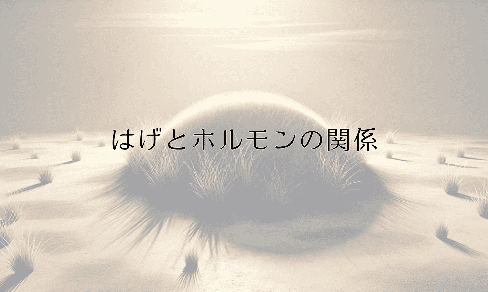 はげとホルモンの関係｜男性型脱毛症のメカニズム