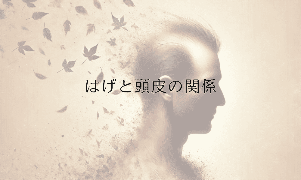 はげと頭皮の関係｜正しいケア方法と育毛効果
