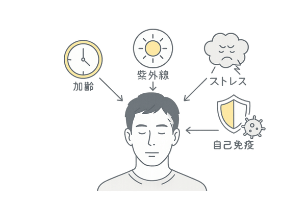 白髪が増える主な原因とメラノサイトへのダメージ要因イメージ