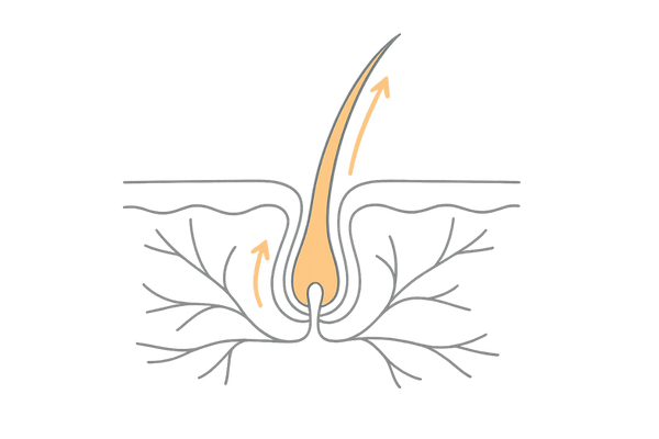 円形脱毛症におけるミノキシジルの役割イメージ