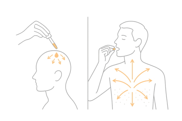 外用ミノキシジルと内服ミノキシジルの比較図