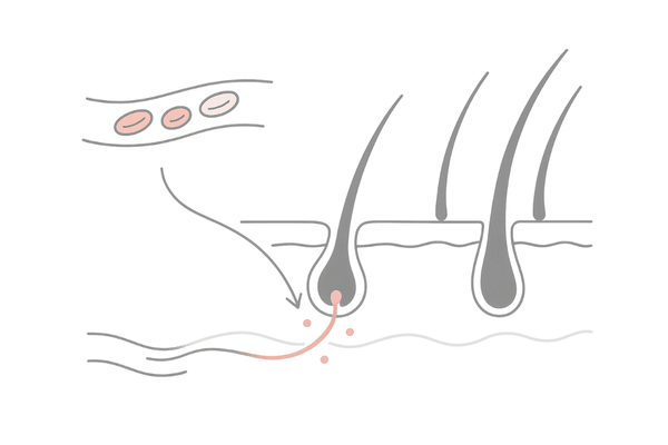 ミノキシジル外用薬の血流促進と発毛メカニズム図
