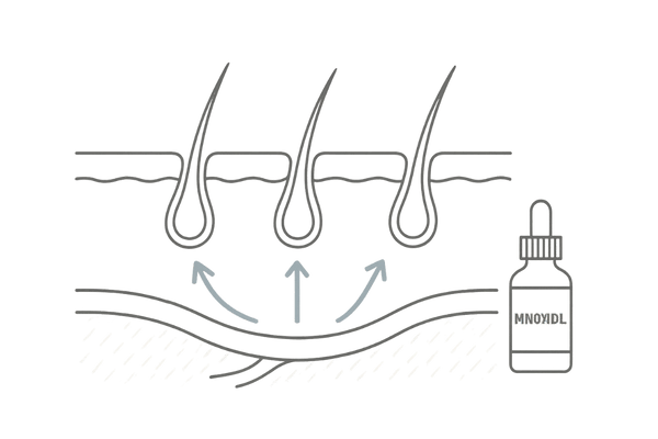 ミノキシジル外用薬が血管拡張で頭皮の血流を高める仕組みの断面イラスト