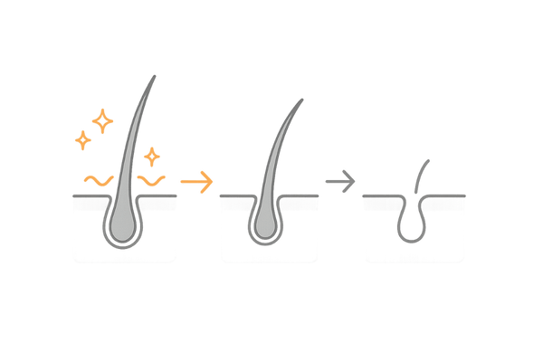 ヘアサイクルの成長期が延長されるイメージ図（ミノキシジル作用）