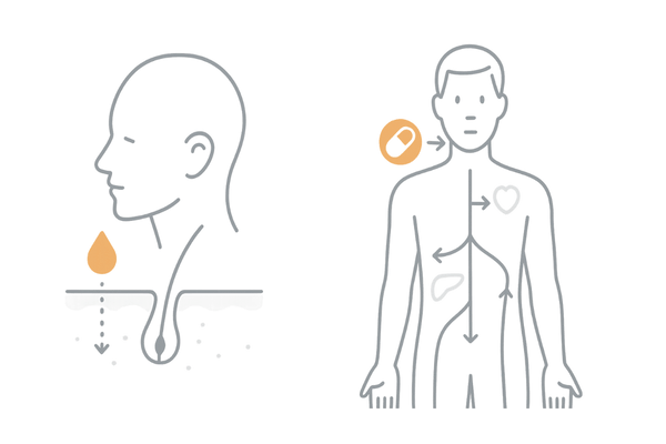 ミノキシジル内服と外用の吸収経路の違い