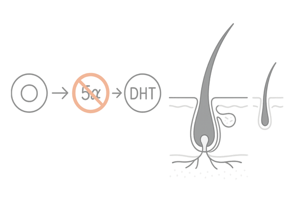 プロペシア（フィナステリド）がDHT生成を抑える仕組み図