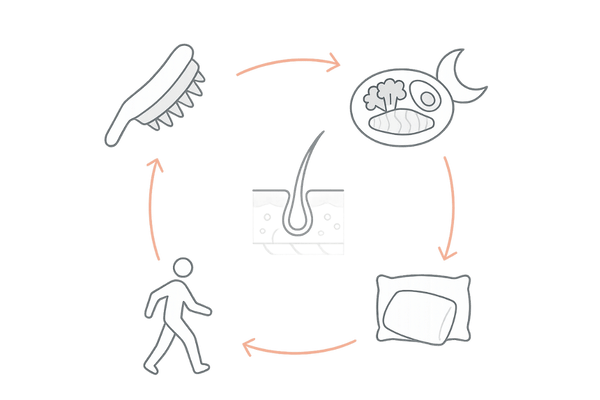頭皮マッサージ道具と生活習慣の相乗効果イメージ