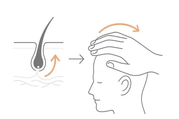 頭皮マッサージで血行が促進され毛根へ栄養が届く仕組み