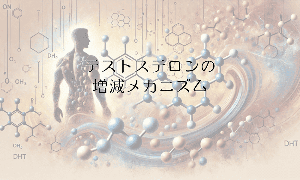 テストステロンの増減メカニズム - ホルモンバランスと生活習慣の関係