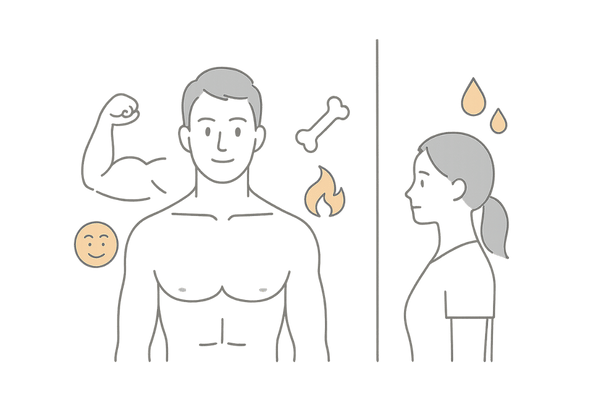 テストステロンの働きと男女の分泌量の違いを説明する男性ホルモンのイメージイラスト