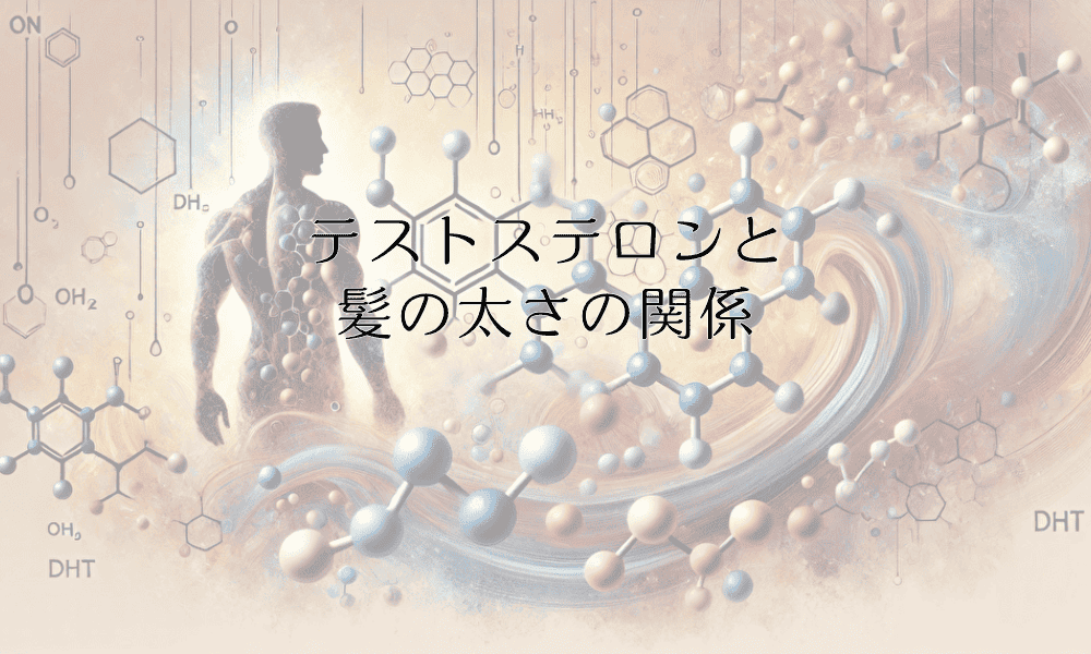 テストステロンと髪の太さの関係 - ホルモンバランスによる影響