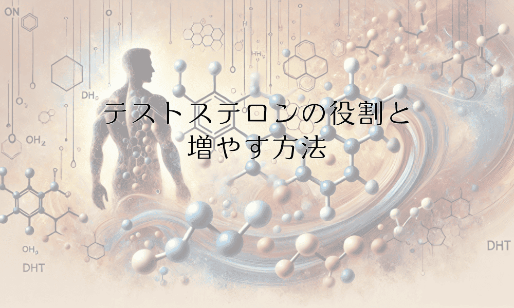 テストステロンの役割と増やす方法