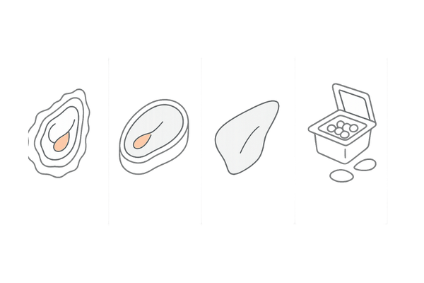 亜鉛を多く含む食品のアイコン一覧（男性向け食事例）