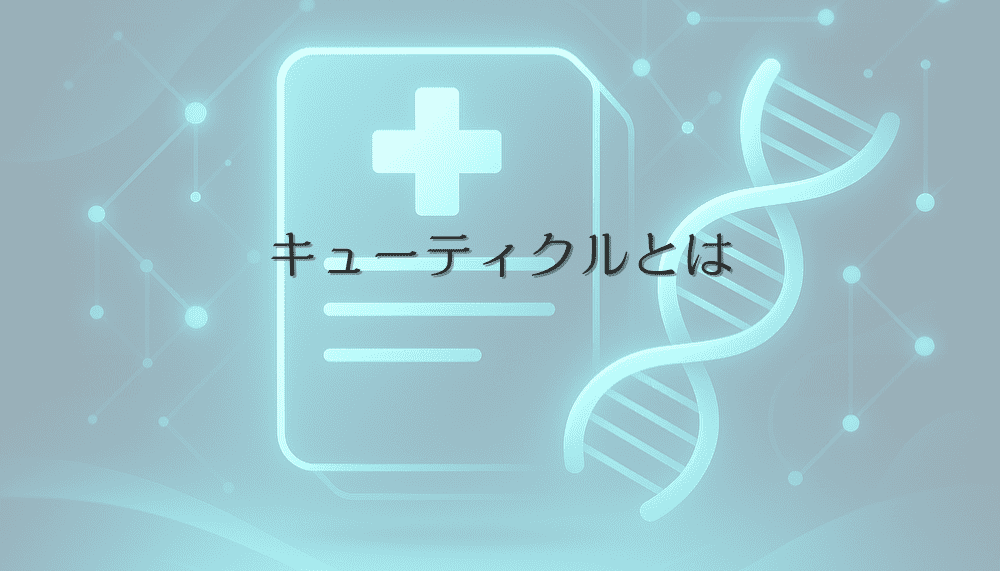 キューティクルとは｜髪の構造と女性の美髪を保つケア方法