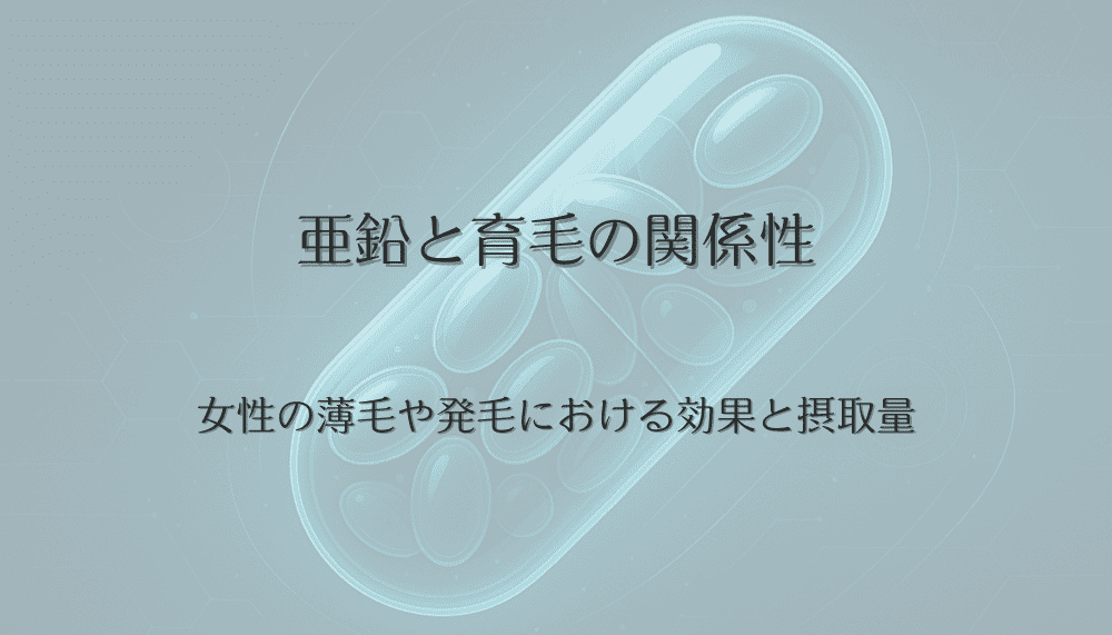 亜鉛と育毛の関係性｜女性の薄毛や発毛における効果と摂取量