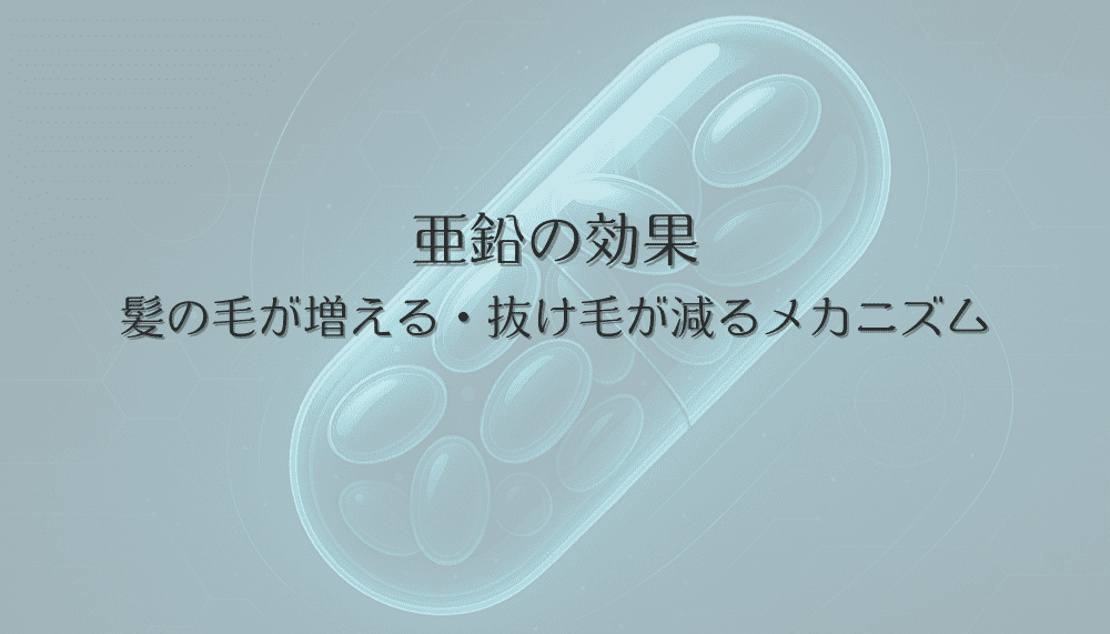 亜鉛の効果を解説｜女性の髪の毛が増えた＆抜け毛が減ったメカニズム