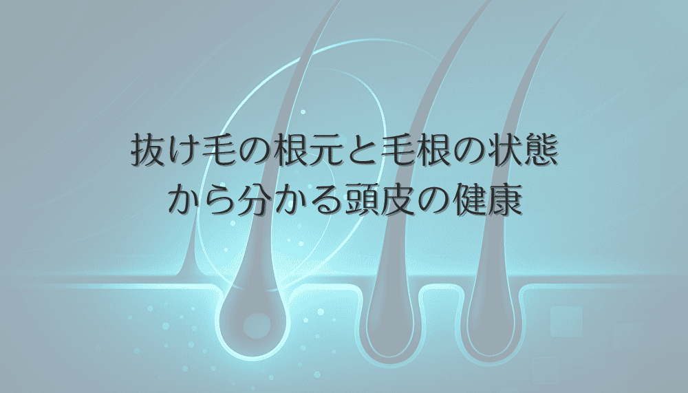 抜け毛の根元と毛根の状態から分かる頭皮の健康|女性の髪診断