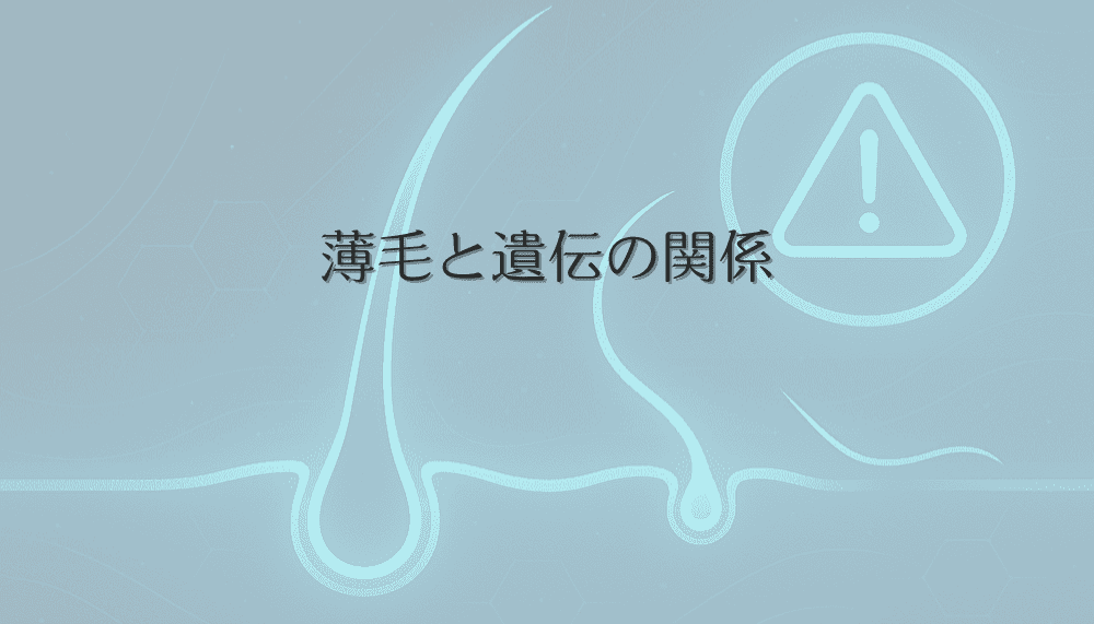 薄毛と遺伝の関係｜女性の遺伝性脱毛症のメカニズムと対策