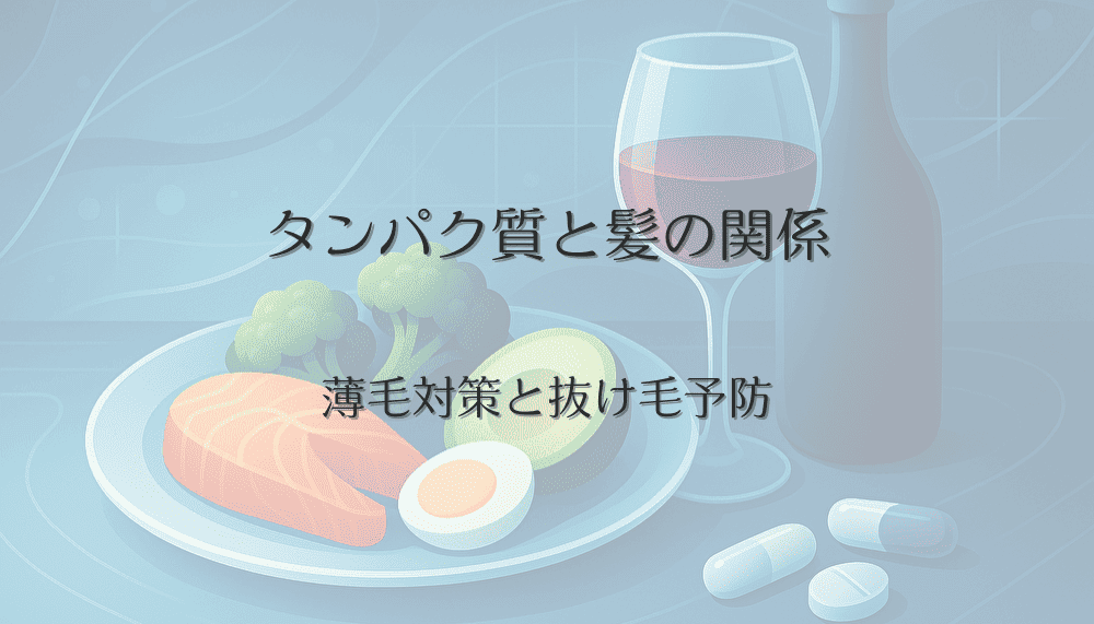 タンパク質と髪の関係|女性の薄毛対策と抜け毛予防のための栄養摂取