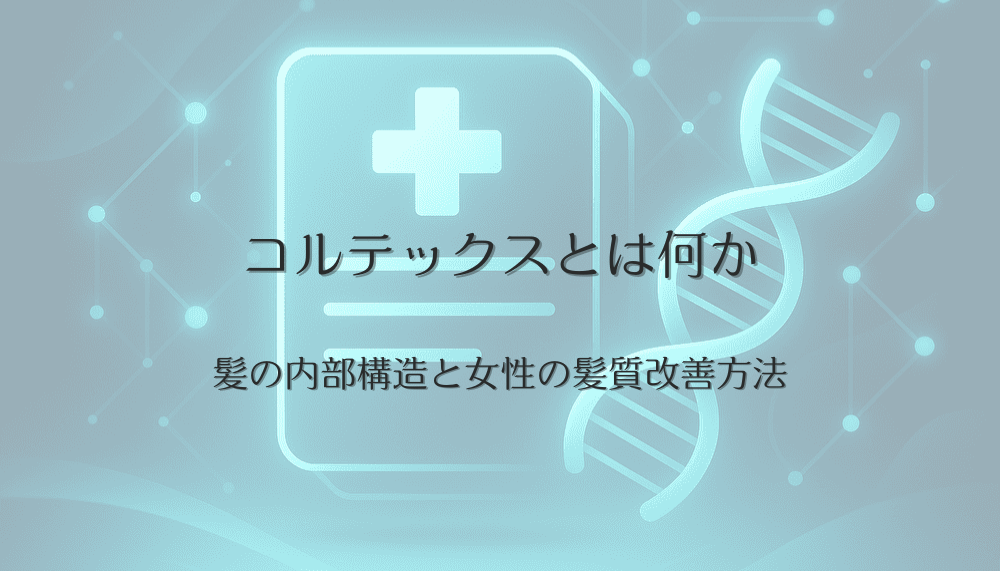 コルテックスとは何か｜髪の内部構造と女性の髪質改善方法