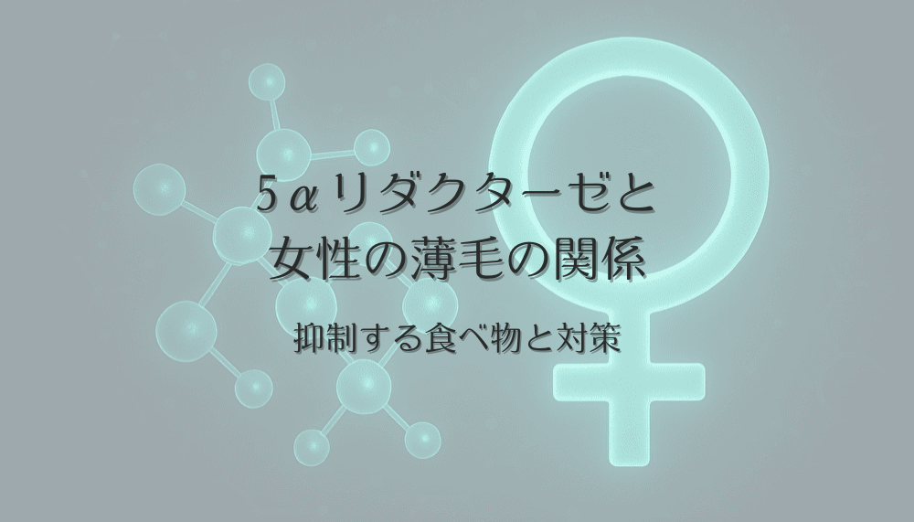 5αリダクターゼと女性の薄毛の関係｜抑制する食べ物と対策