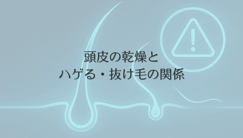 頭皮の乾燥とハゲる・抜け毛の関係｜女性の対策法