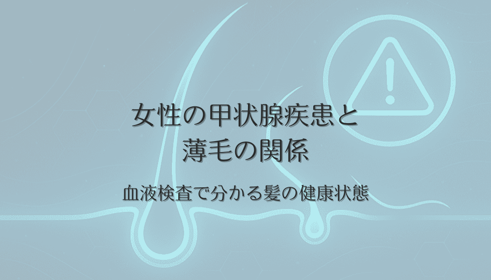 女性の甲状腺疾患と薄毛の関係｜血液検査で分かる髪の健康状態