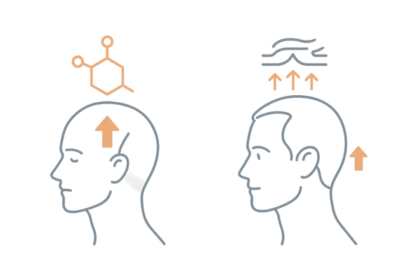 フィナステリド vs ミノキシジル—部位別の効き方イメージ