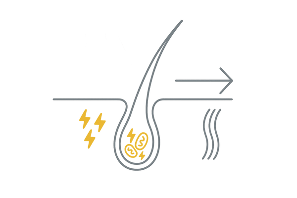 ミトコンドリア活性化とATP産生のしくみ(LLLTの生体作用)
