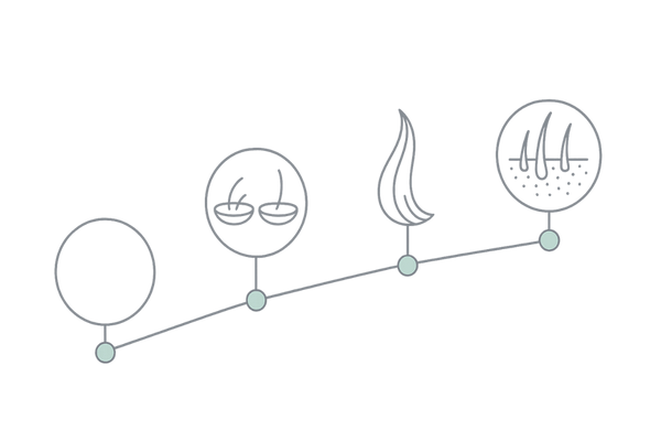 光治療の効果実感タイムライン(3か月・6か月・1年の目安)