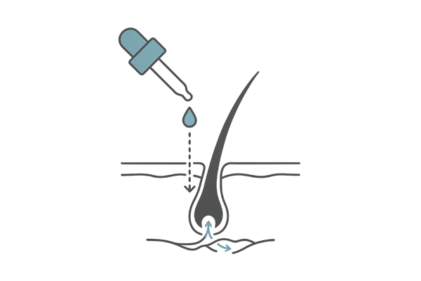 ミノキシジル外用のアクション：頭皮表面から毛包へ