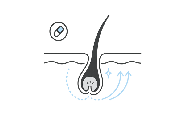 ミノキシジル5mgの作用（血行促進と毛母細胞活性の断面図）
