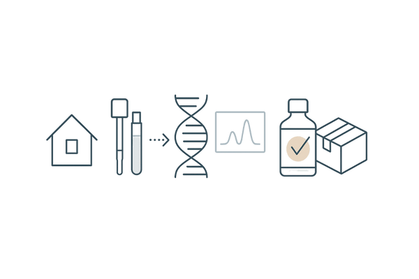 遺伝子検査つき育毛ケアの流れ｜自宅キット→解析→個別処方の外用