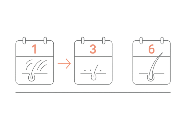 効果実感の目安タイムライン|1か月・3か月・6か月での変化イメージ