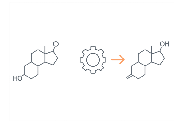 テストステロンからDHTへの変換フローと5αリダクターゼの関与(AGAの根本機序)