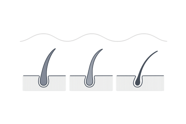 ヘアサイクルの基本｜成長期→退行期→休止期の3段ステップ