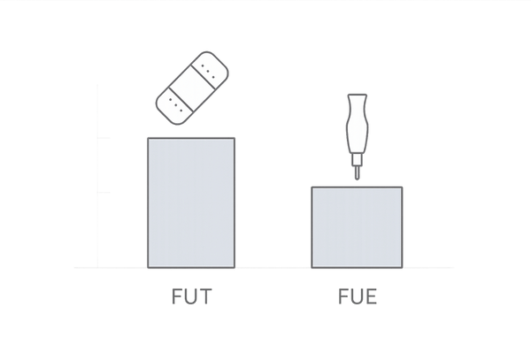 FUTとFUEの採取可能グラフト数の比較図