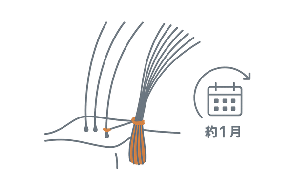 結び付けタイプの固定構造とメンテナンス周期