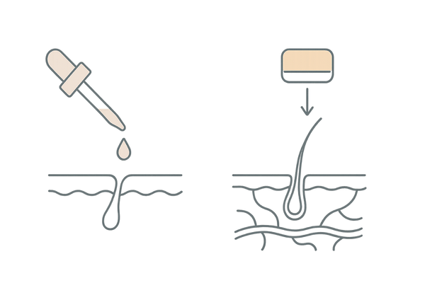外用と内服の違い|ミノキシジルの作用経路比較(浸透 vs 全身循環)