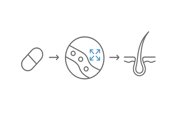 ミノキシジルタブレットの作用フロー｜血管拡張→毛包活性の概念図