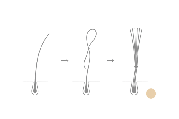 結着式増毛の仕組み図｜自毛1本に人工毛を束で結び付ける流れ