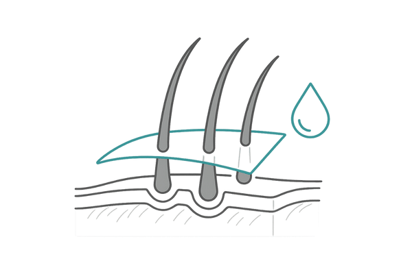 貼り付け式増毛(ヘアコンタクト)の構造断面
