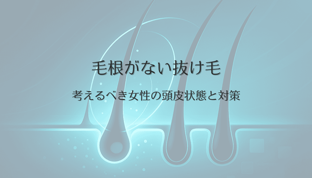 毛根がない抜け毛が増えたときに考えるべき女性の頭皮状態と対策